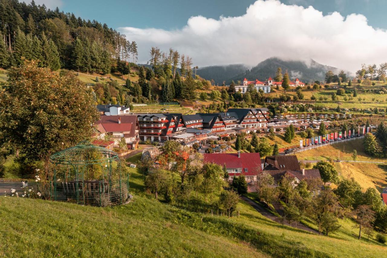 Hotel Dollenberg Bad Peterstal-Griesbach Dış mekan fotoğraf